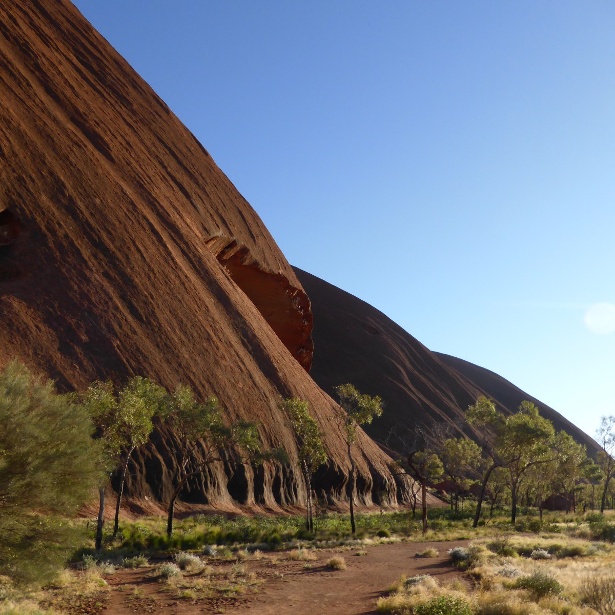 Another senseless act of&nbsp;tourism.